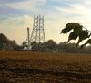 Strommasten, die abgebaut werden - anders als in Rhade. Hier: Raesfeld